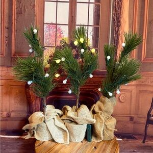 Pottery Barn Green Pine Tree Set Burlap Christmas Decor Tabletop